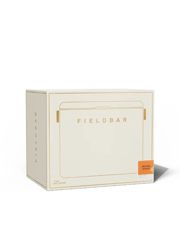 Cooler Box Set/ Orchard Orange